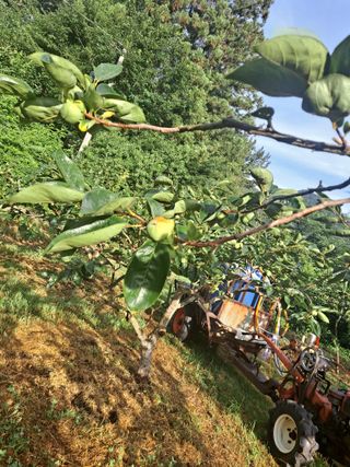 농촌사랑님의 자유주제 · 자유게시판 작성글 사진