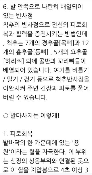 (팽나무*공주)님의 자유주제 · 자유게시판 작성글 사진