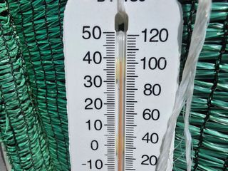 _고성농장님의 자유주제 · 자유게시판 작성글 사진