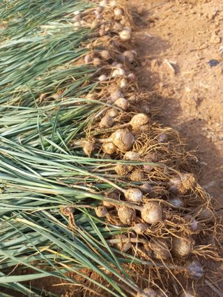 박린님의 작성글 사진