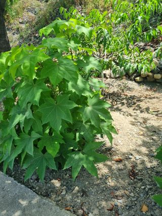 김용대님의 자유주제 · 자유게시판 작성글 사진
