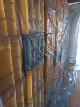 박린님의 작성글 사진