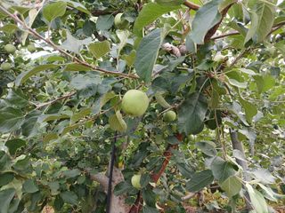 알 수 없음님의 자유주제 · 자유게시판 작성글 사진