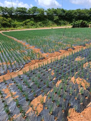 결단이님의 자유주제 · 자유게시판 작성글 사진
