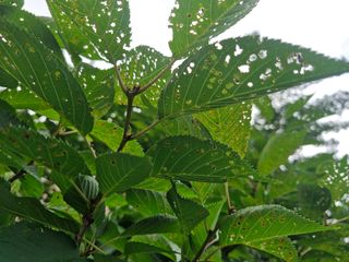 김양곤님의 자유주제 · 자유게시판 작성글 사진