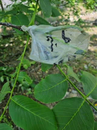 김용대님의 자유주제 · 자유게시판 작성글 사진