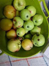 팜모닝 자유주제·자유게시판 게시글 이미지