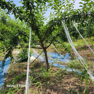 성낙신 님의 자유주제 · 자유게시판 작성글 사진