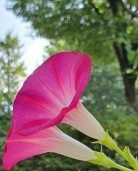 MSG0074님의 자유주제 · 자유게시판 작성글 사진