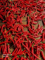 팜모닝 자유주제·자유게시판 게시글 이미지