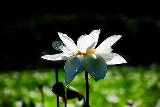 문해님의 자유주제 · 자유게시판 작성글 사진