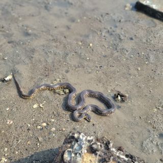 김선순(공룡자색마)님의 자유주제 · 자유게시판 작성글 사진