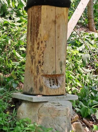 홍성호님의 작성글 사진