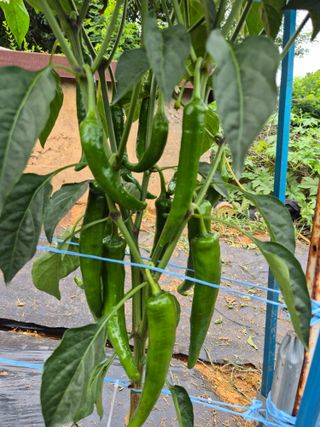 김해균 님의 자유주제 · 자유게시판 작성글 사진