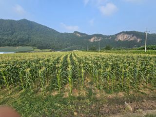 장관덕님의 자유주제 · 자유게시판 작성글 사진