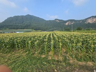 장관덕님의 자유주제 · 자유게시판 작성글 사진