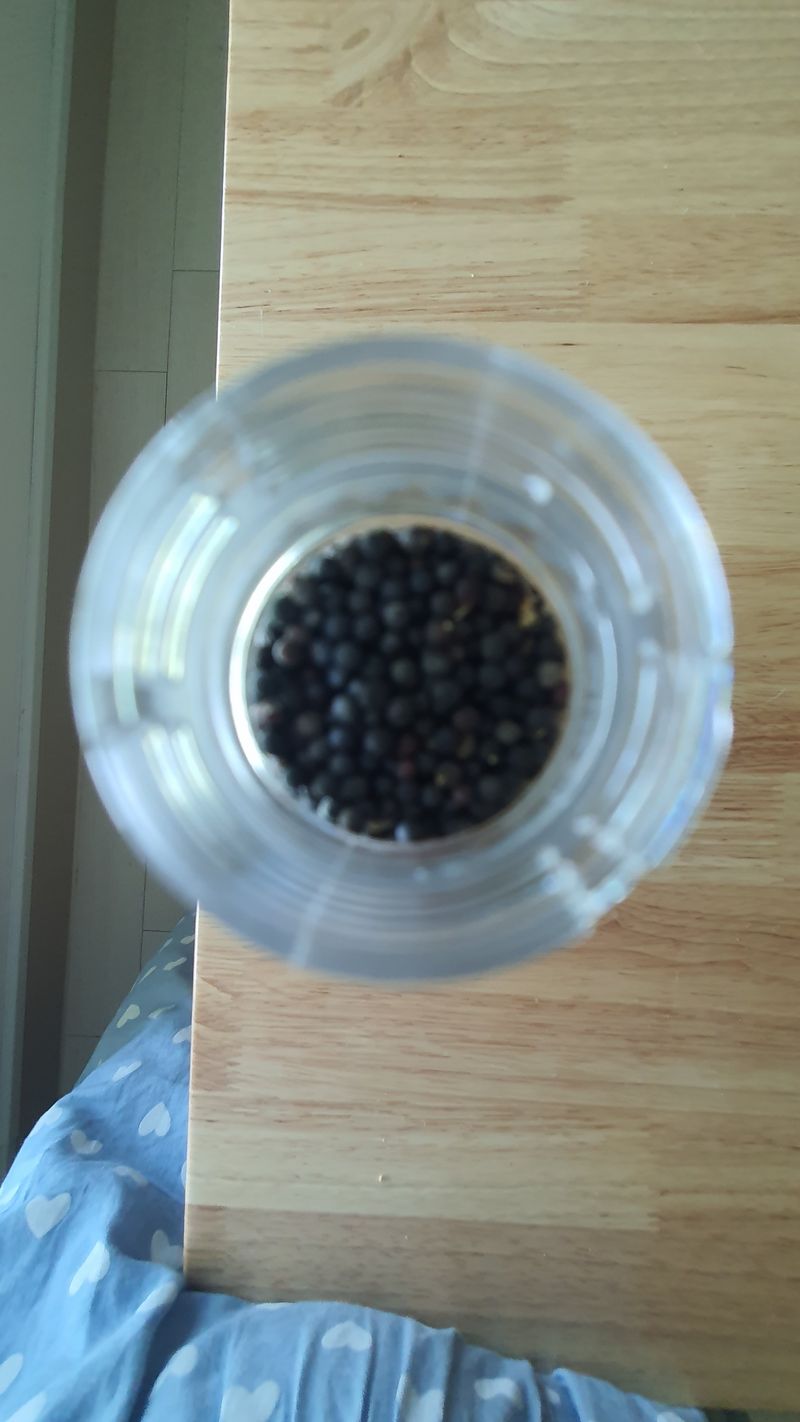 미미농원님의 장터 판매 상품 [유채 씨앗 (200g/병)] 첨부 사진