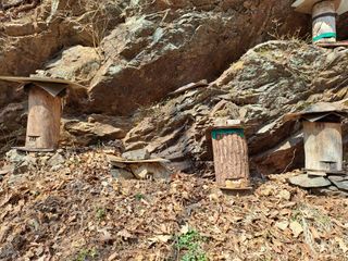 홍성호님의 작성글 사진