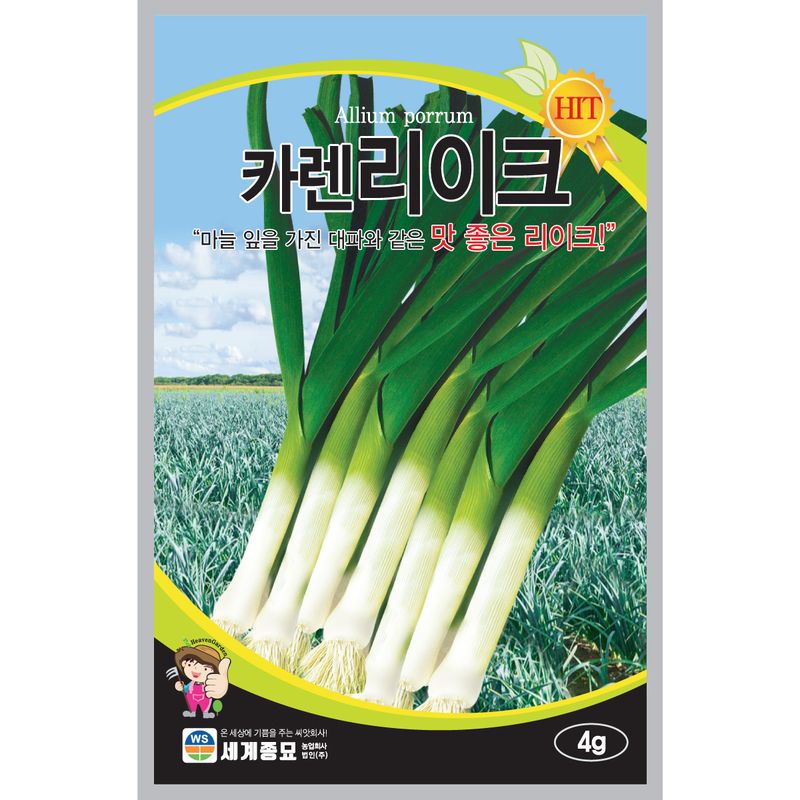 장터 상품 [[세계종묘] 카렌리이크 4g 대파씨앗 ] 썸네일