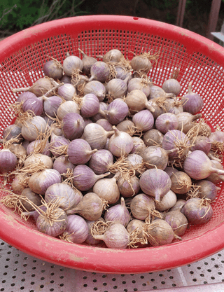 조새힘님의 작성글 사진