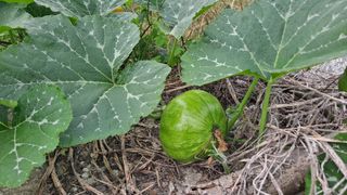 MSG0074님의 자유주제 · 자유게시판 작성글 사진