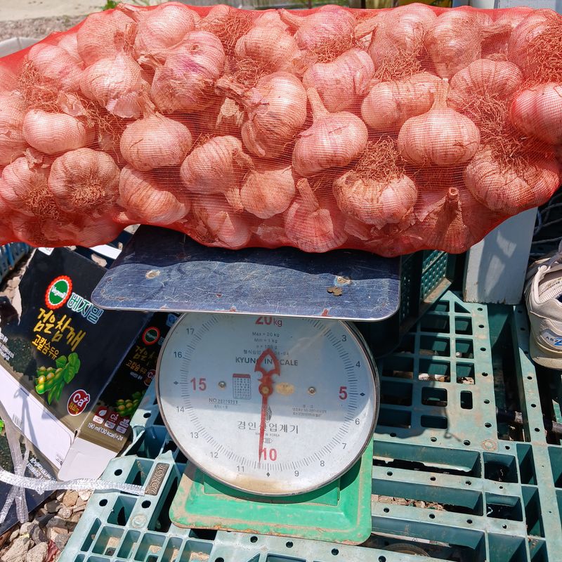 장터 상품 [마늘 10키로] 썸네일