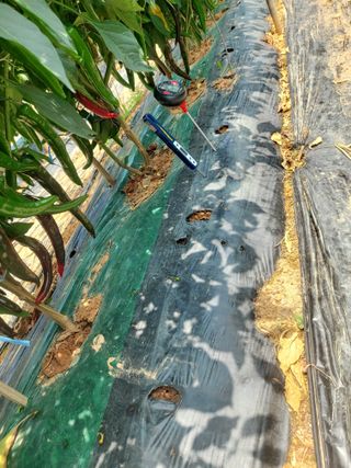 둥이농장(김준태)님의 자유주제 · 자유게시판 작성글 사진