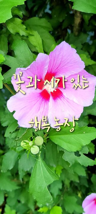 행복농장아다나님의 자유주제 · 자유게시판 작성글 사진