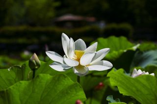 문해님의 자유주제 · 자유게시판 작성글 사진