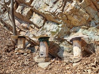 홍성호님의 작성글 사진