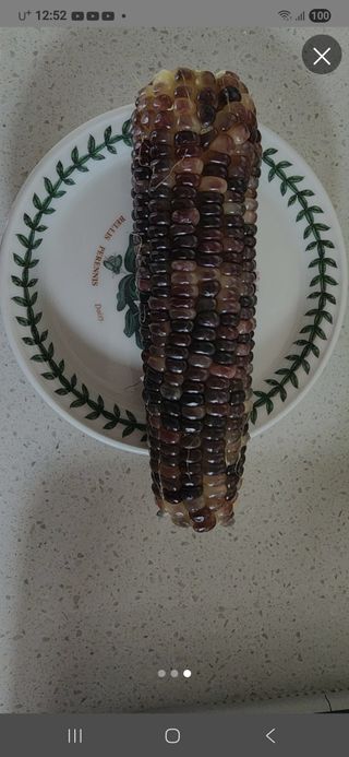 장관덕님의 자유주제 · 자유게시판 작성글 사진