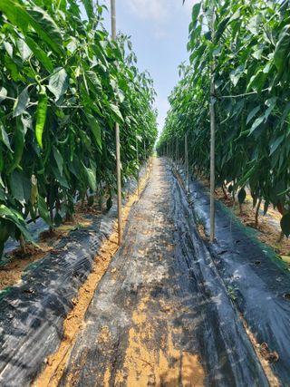 둥이농장(김준태)님의 자유주제 · 자유게시판 작성글 사진