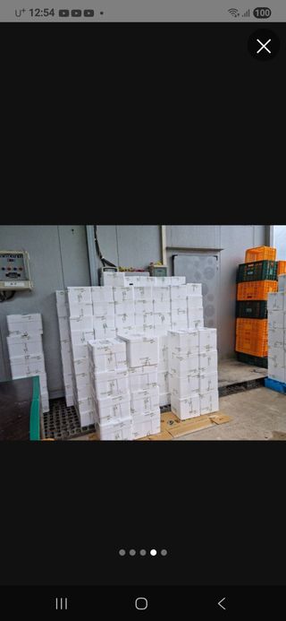 장관덕님의 자유주제 · 자유게시판 작성글 사진