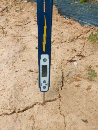 둥이농장(김준태)님의 자유주제 · 자유게시판 작성글 사진