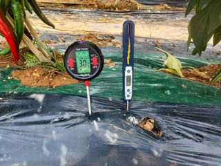 둥이농장(김준태)님의 자유주제 · 자유게시판 작성글 사진