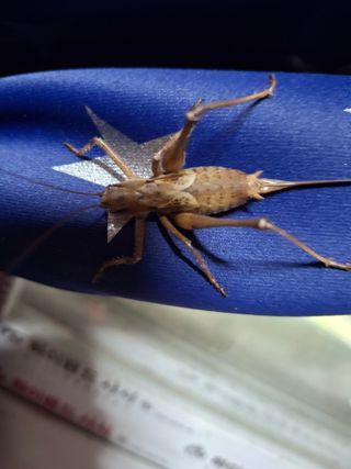 똥풀님의 자유주제 · 자유게시판 작성글 사진