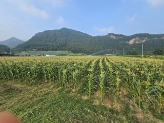장관덕님의 자유주제 · 자유게시판 작성글 사진