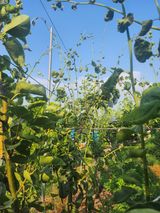 팜모닝 팜모닝 토론방·주제제안 게시글 이미지