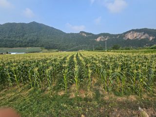 장관덕님의 자유주제 · 자유게시판 작성글 사진