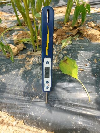 둥이농장(김준태)님의 자유주제 · 자유게시판 작성글 사진