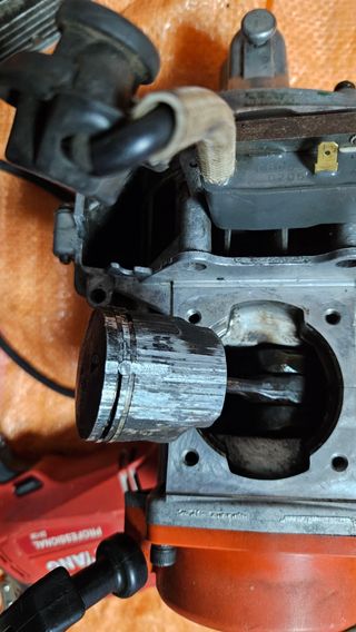 문해님의 자유주제 · 자유게시판 작성글 사진