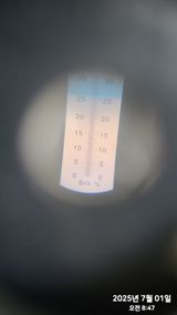 팜모닝 복숭아·자유게시판 게시글 이미지