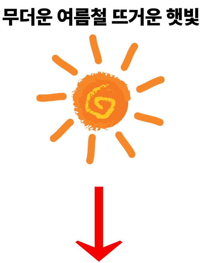 김복자님의 장터 판매 상품 [창넓은모자 썬캡 자외선차단 농사모자] 첨부 사진