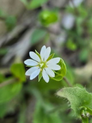 쌍둥이네농장님의 작성글 사진