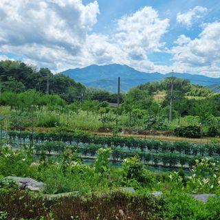 훈&팜님의 작성글 사진