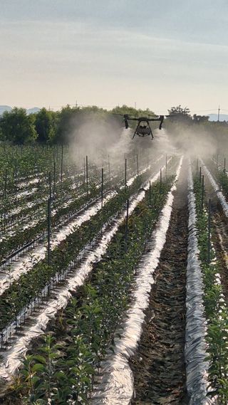 우리농원님의 자유주제 · 자유게시판 작성글 사진