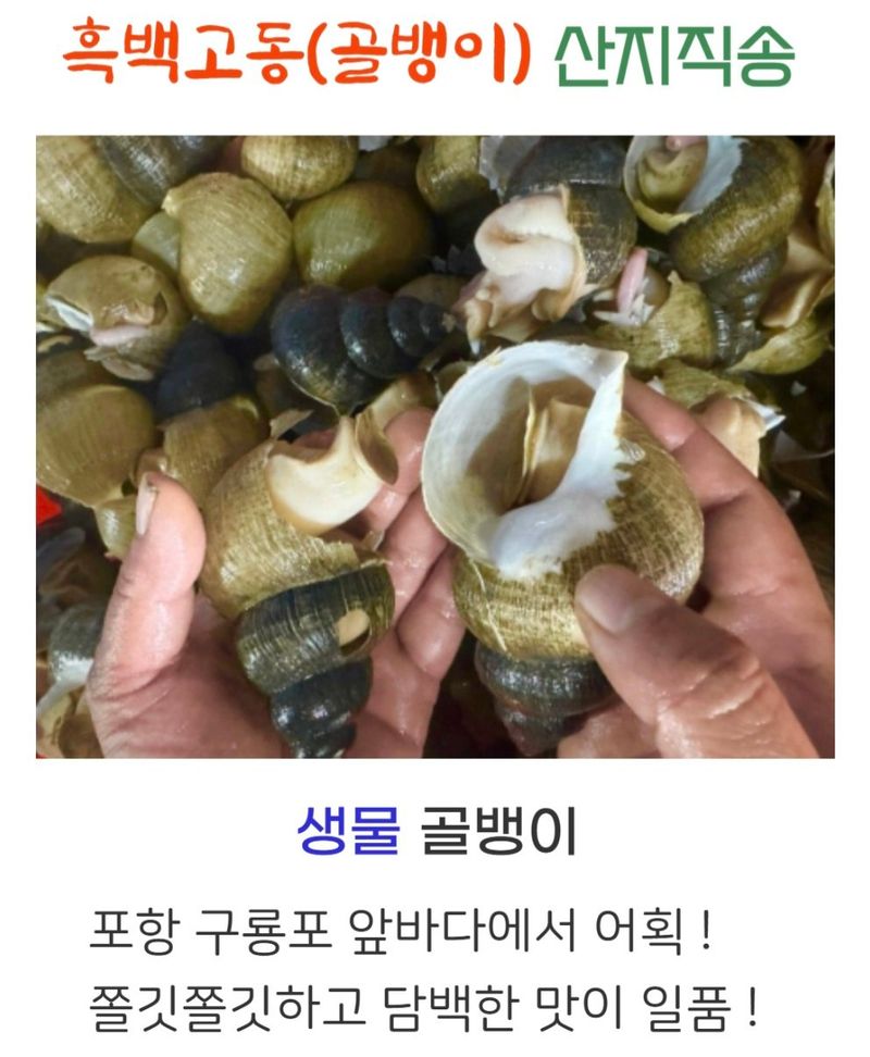 농수사님의 장터 판매 상품 [구룡포 생물 손질 골뱅이 500g] 첨부 사진