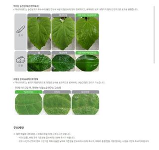 대산농사대장님의 자유주제 · 자유게시판 작성글 사진