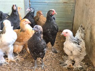 천운산님의 자유주제 · 자유게시판 작성글 사진