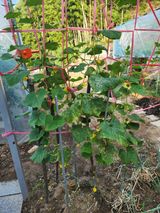 팜모닝 자유주제·자유게시판 게시글 이미지